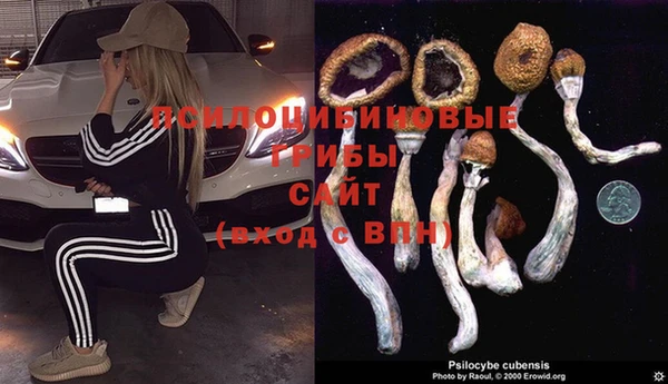 таблы Арсеньев