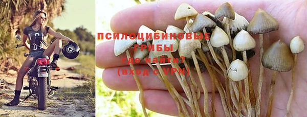 таблы Арсеньев