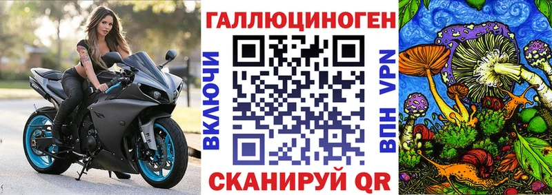 Галлюциногенные грибы Psilocybine cubensis  Семёнов 